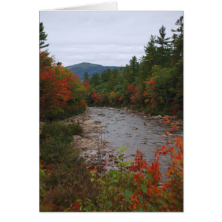 Automne à la rivière