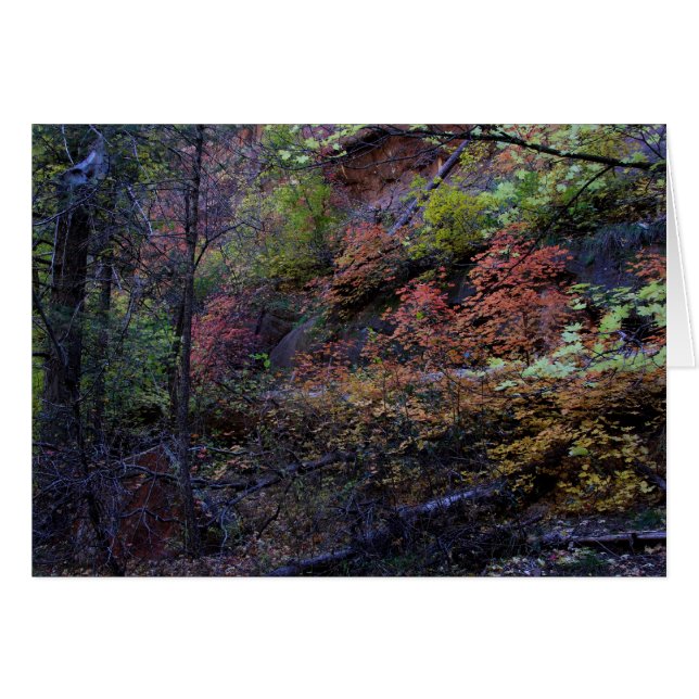 Automne à Sedona (Devant horizontal)