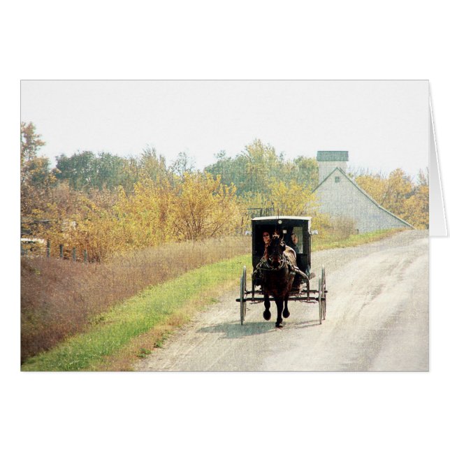 Automne Amish Horse et Buggy (Devant horizontal)