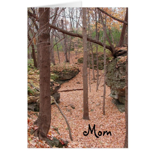 Automne ~ Anniversaire Maman (Devant)