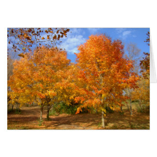 Automne au lac argenté #6