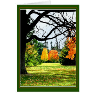 Automne Au Parc