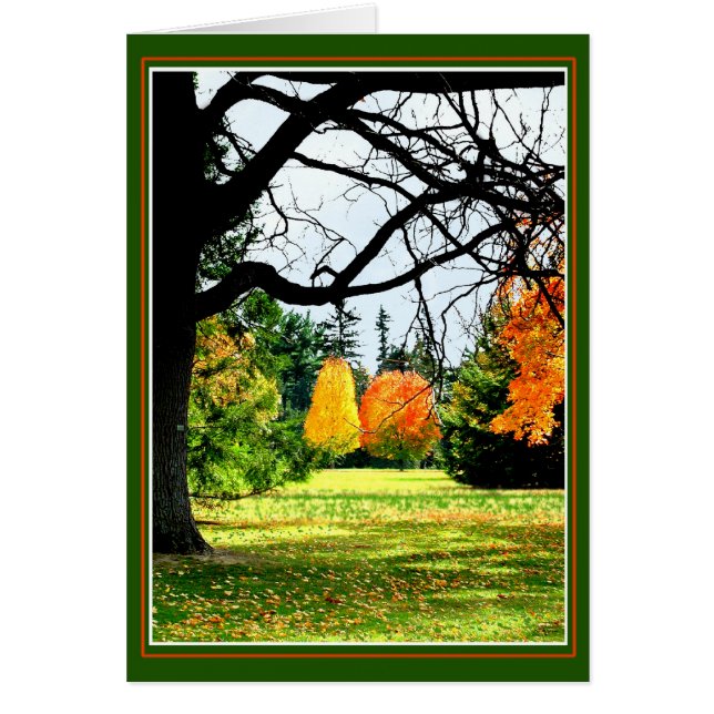 Automne Au Parc (Devant)