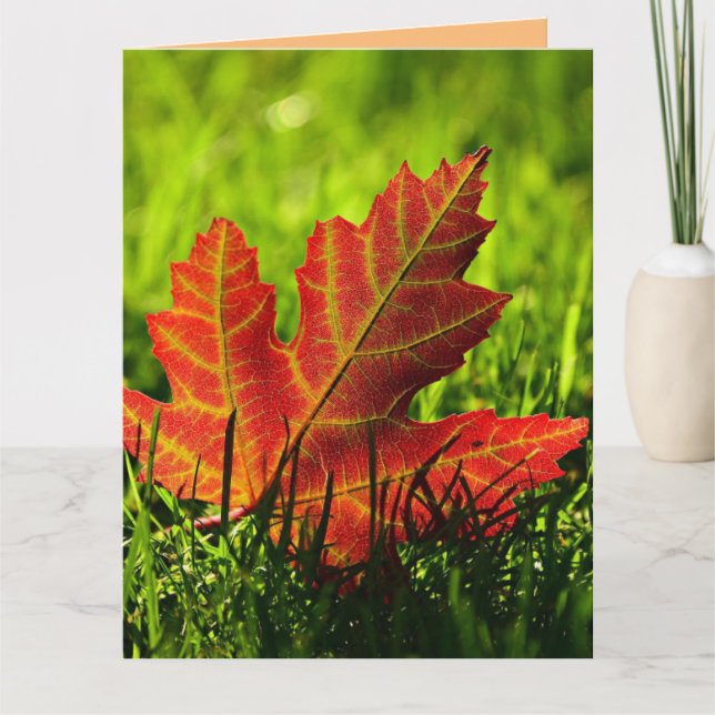 AUTOMNE AUTOMNE FALL ANNIVERSAIRE CARTE DE RECONNA (Devant)