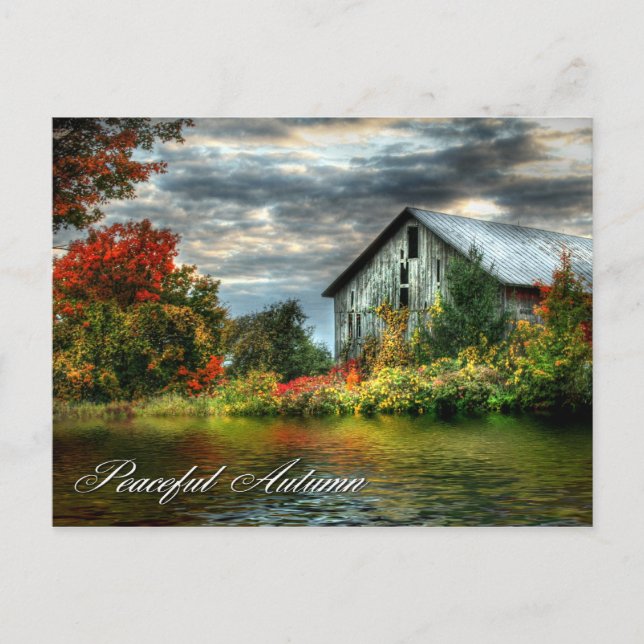automne calme - carte postale (Devant)