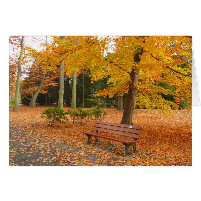 Automne calme et tranquille dans le parc (Devant Horizontal)