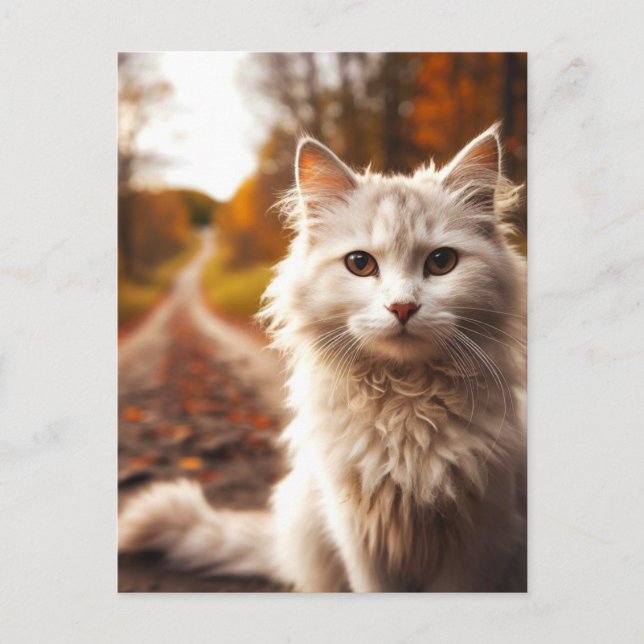 AUTOMNE CARTES POSTALES pour chat blanc (Devant)