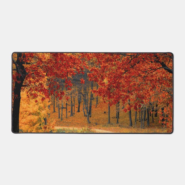 automne dans la forêt (Recto)