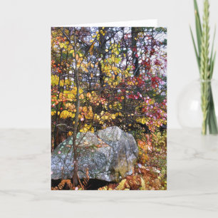Automne dans le Connecticut Carte de voeux