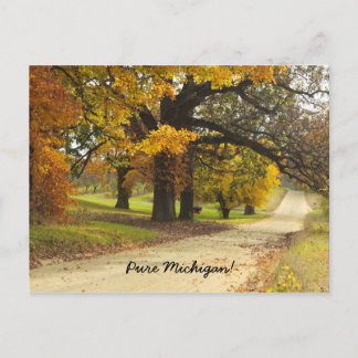 Automne dans le Michigan Carte postale