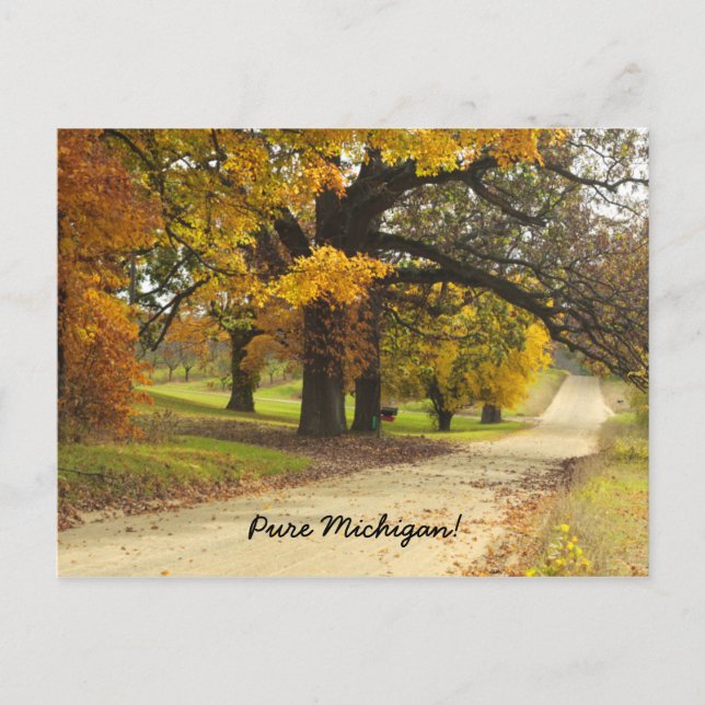 Automne dans le Michigan Carte postale (Devant)