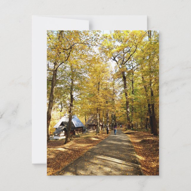 Automne dans le parc en Roumanie (Devant)