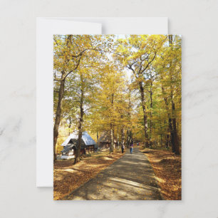 Automne dans le parc en Roumanie