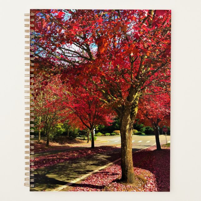 Automne dans le quartier, Oregon (Devant)