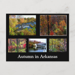 Automne en Arkansas Photo carte postale