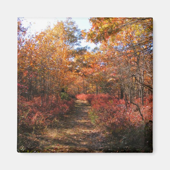 Automne en Nouvelle-Angleterre 32 ~ aimant (Devant)