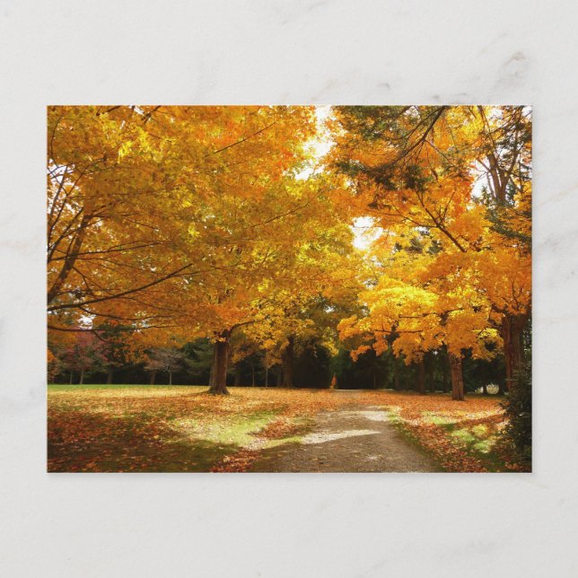 Automne en Nouvelle-Angleterre Carte postale (Devant)