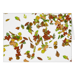 AUTOMNE / FEUILLES D'AUTOMNE, Blanc