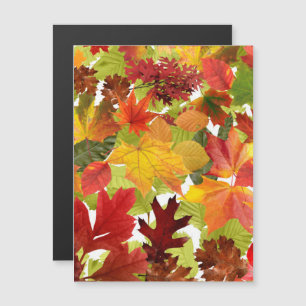 Automne Feuilles de l'automne Carte magnétique