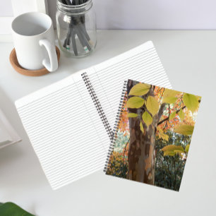 Automne Japonais Stewartia Arbre Carnet Floral
