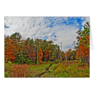 Automne nord-est
