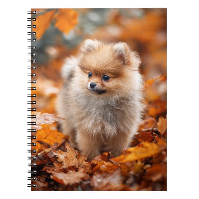 Automne Poméranien Carnet Spiral Chiot (Devant)