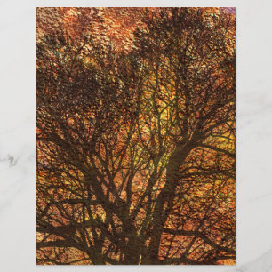 Automne Rustique Texture Arbre Scrapbooking