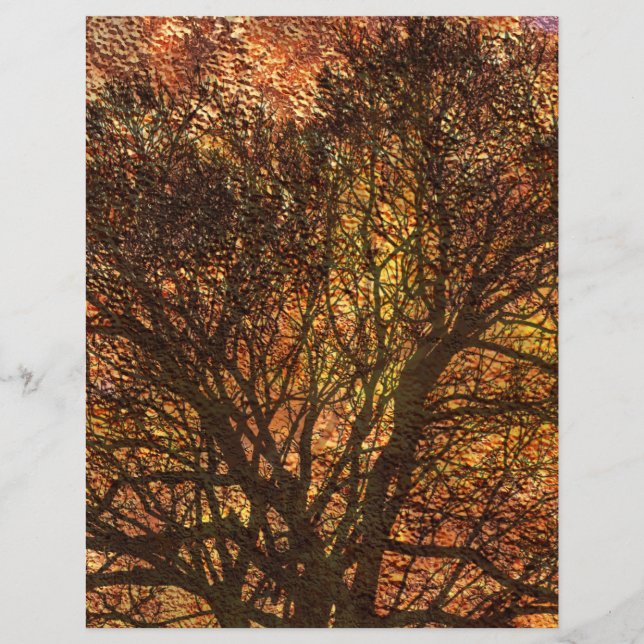 Automne Rustique Texture Arbre Scrapbooking (Devant)