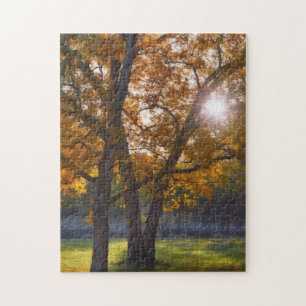 Automne Saison Arbres Sunshine Art Puzzle