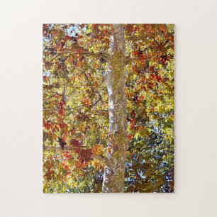 Automne Saison Automne Sycamore Tree Art Puzzle