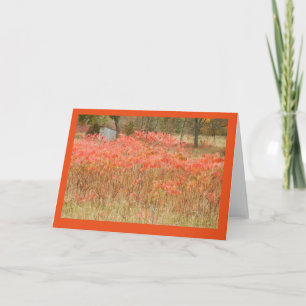 Automne Sumac et Chasse Shack sur carte à billets 