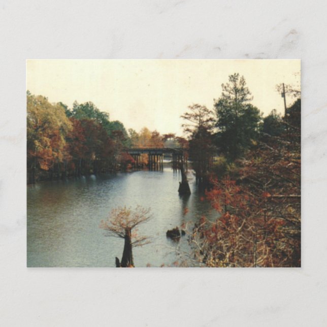 Automne sur l'eau - Carte postale (Devant)