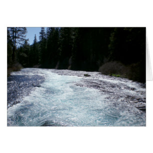 Automnes de magicien