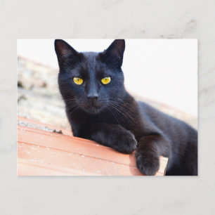 autour de la carte postale