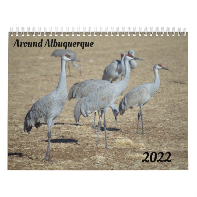 Autour du calendrier Albuquerque (Protection)