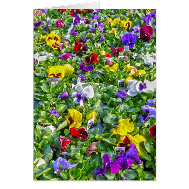 Autres panneaux (Devant)