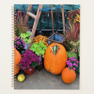 Autumn Decor