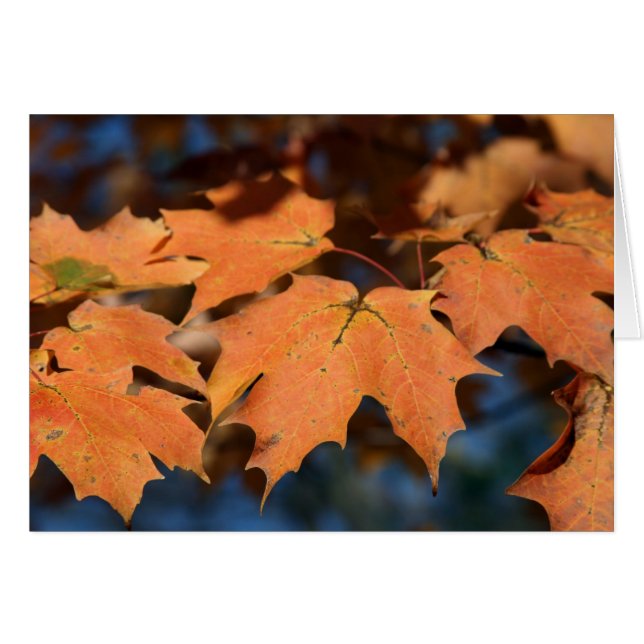 Autumn Leaves Card (Devant horizontal)