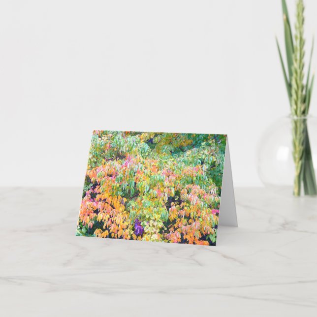 "AUTUMN PALETTE" (PHOTOG.) CARTE DE CORRESPONDANCE (Devant)