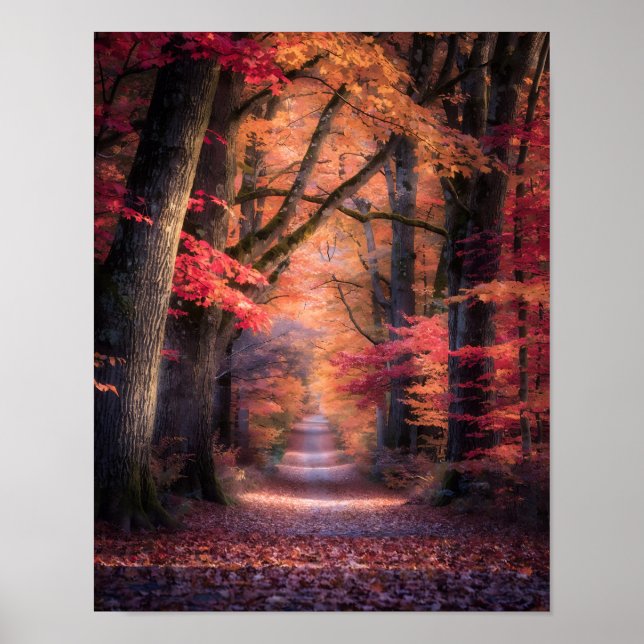 Autumn Path in Vermont Forest Poster (Devant)