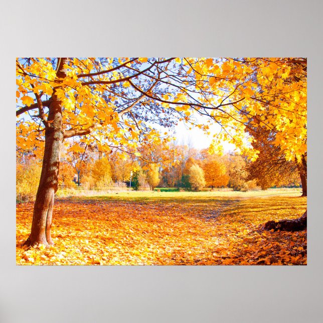 Autumn Trees Poster (A vibrant autumn landscape filled with golden leaves and trees. )