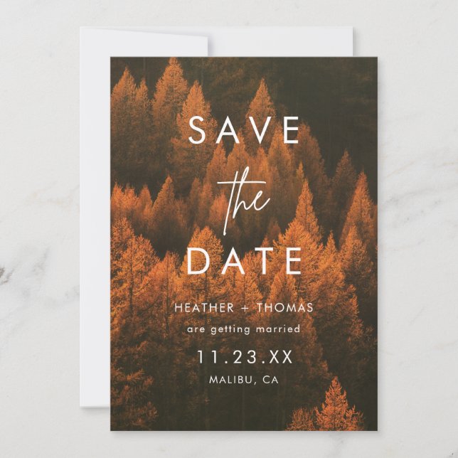 Autumn Woods Minimalist Save the Date (Devant)