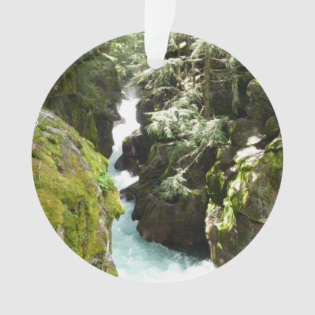 Avalanche Gorge II dans le parc national de Glacie (devant)