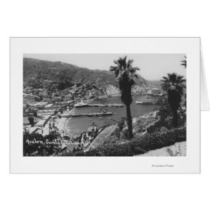 Avalon, CA Père Noël Catalina Island Vue du port