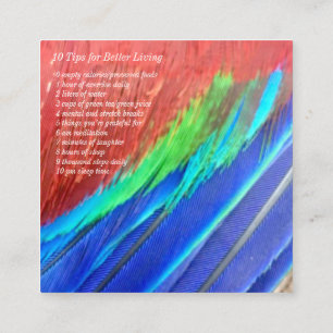 Avant et dos carrés de carte de visite