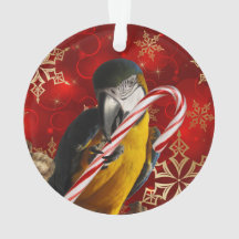 Avant et dos faits sur commande d'ornement de