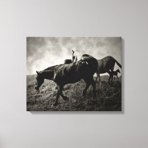 Avant la tempête toile enveloppée