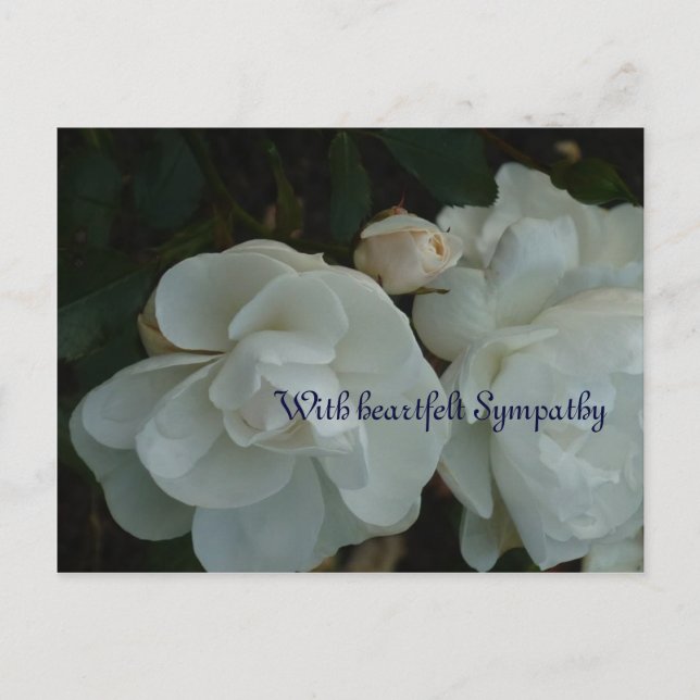 Avec de sincères condoléances - Carte de condoléan (Devant)