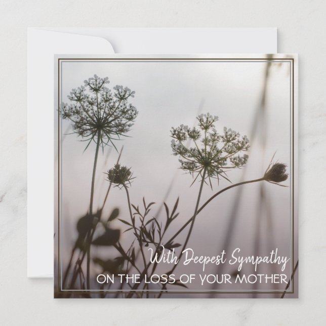 Avec La Plus Profonde Sympathie Sur La Perte De Vo (Devant)