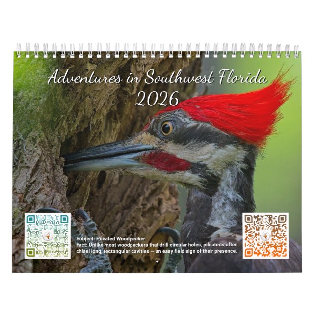 Aventures 2026 dans le calendrier sud-ouest de la  (Protection)